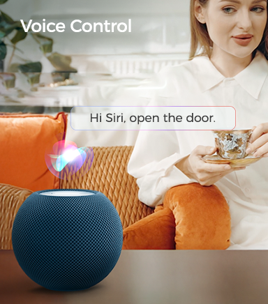 Smart Link Apple Home Kit NFC Digital Smart Lock